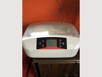 Image 1 of 2