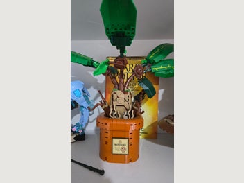 Image 1 of 1