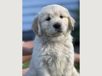 Image 1 of 20