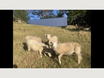 Image 1 of 10