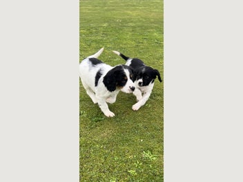 Image 1 of 20