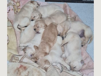 Image 1 of 13