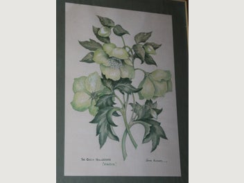 Image 1 of 19