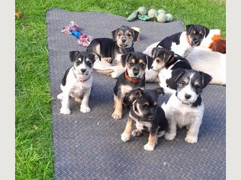 Image 1 of 20