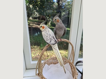 Image 1 of 6