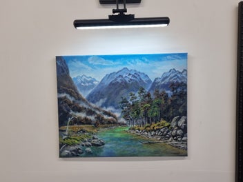 Image 1 of 12