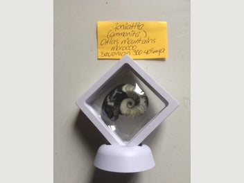 Image 1 of 3