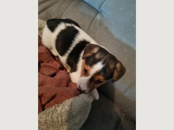 Image 1 of 11