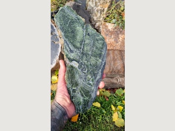 Image 1 of 8