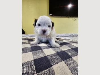 Image 1 of 9
