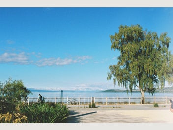 Image 1 of 9