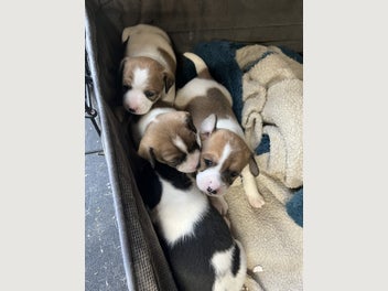Image 1 of 19