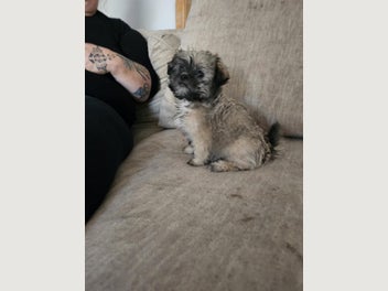 Image 1 of 6