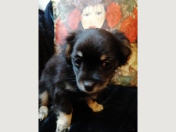 Image 1 of 8