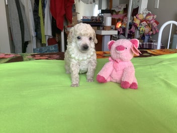 Image 1 of 20