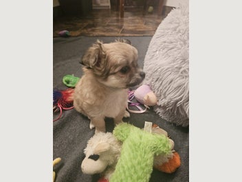 Image 1 of 10
