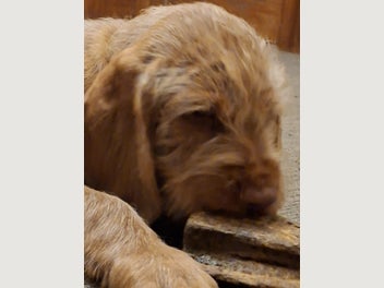 Image 1 of 13