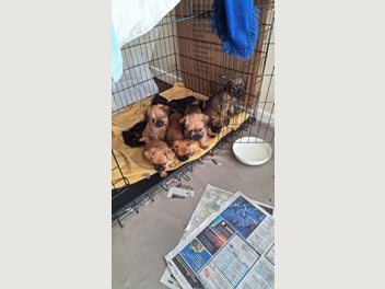 Image 1 of 18