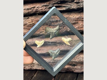 Image 1 of 5