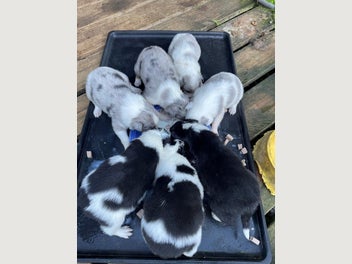Image 1 of 14