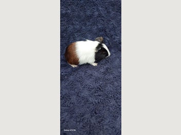 Image 1 of 8