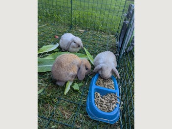 Image 1 of 14