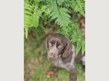 Image 1 of 8