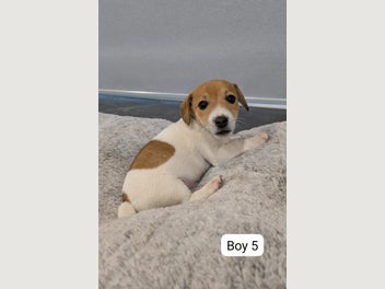 Image 1 of 20