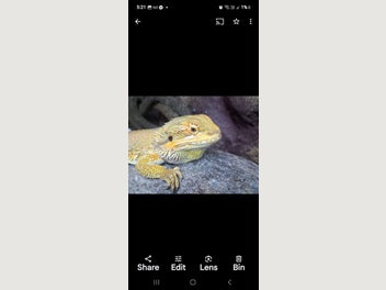 Image 1 of 8