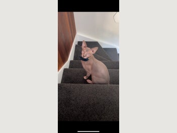 Image 1 of 7