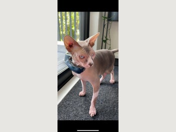 Image 1 of 5