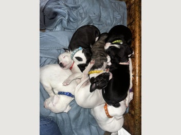 Image 1 of 15