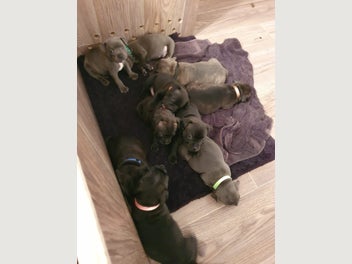 Image 1 of 15