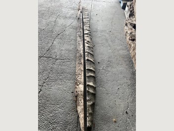 Image 1 of 15