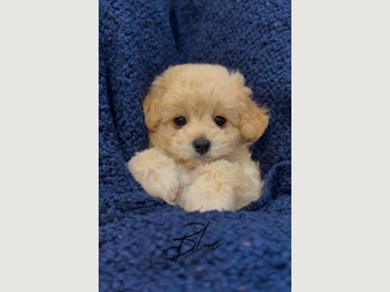 Image 1 of 20