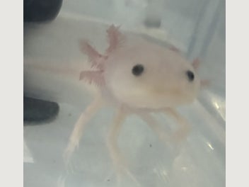 Image 1 of 12