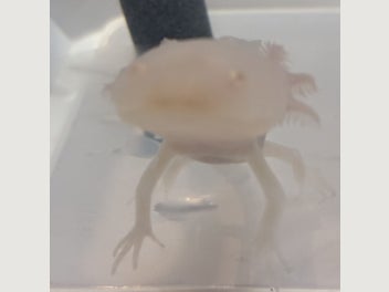 Image 1 of 15