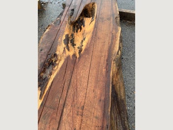 Image 1 of 16