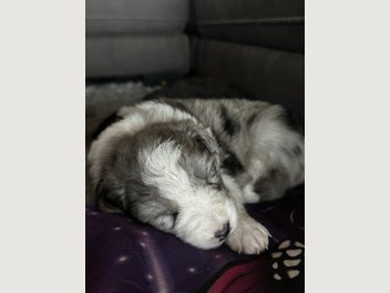 Image 1 of 14