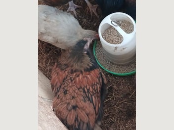 Image 1 of 3