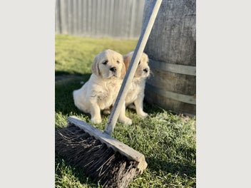 Image 1 of 18