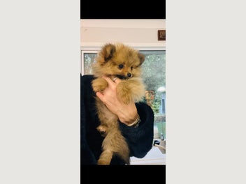 Image 1 of 10
