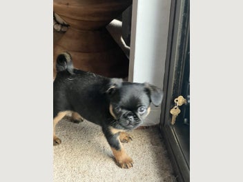 Image 1 of 18