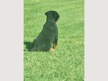 Image 1 of 10