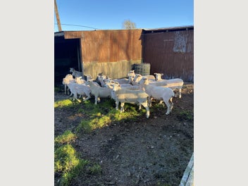 Image 1 of 5