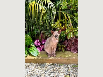 Image 1 of 4