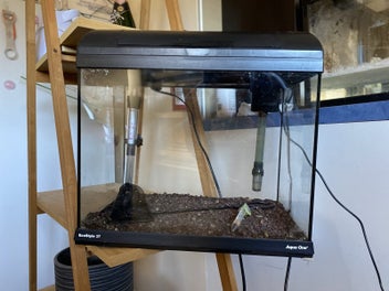 Image 1 of 11
