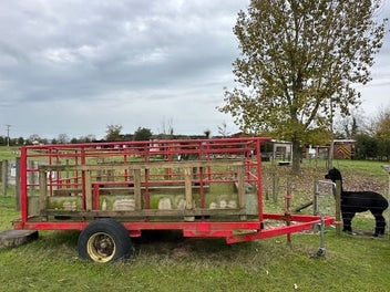 Image 1 of 14