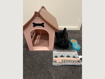 Image 1 of 3