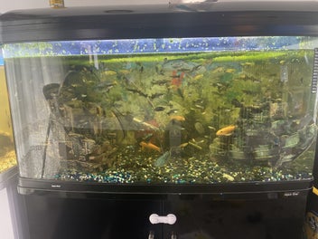 Image 1 of 20